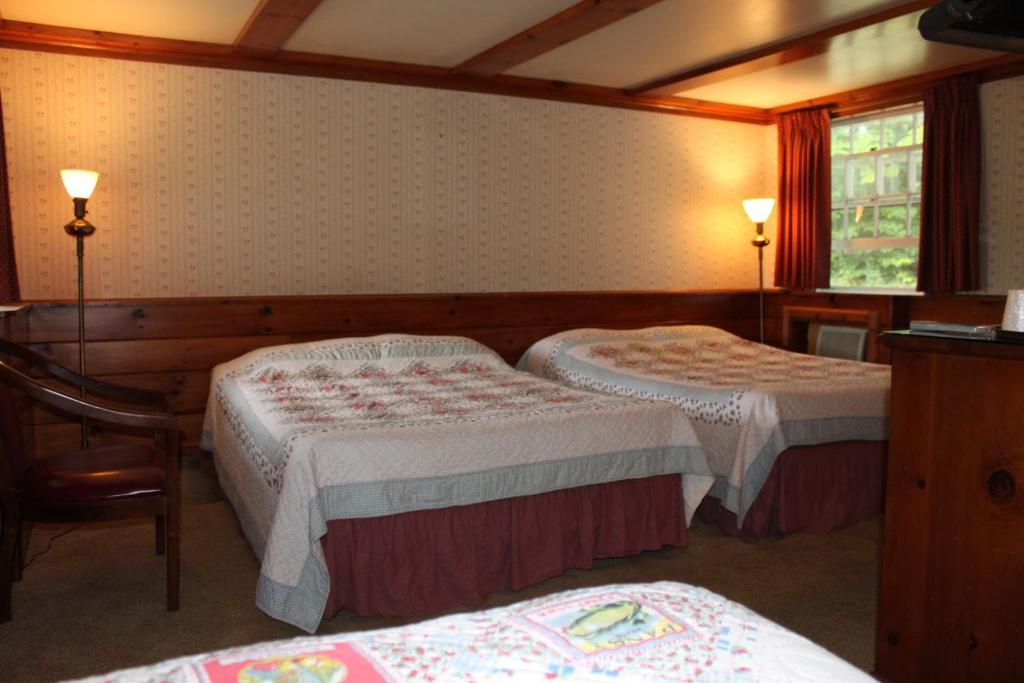 White Trellis Motel North Conway Værelse billede