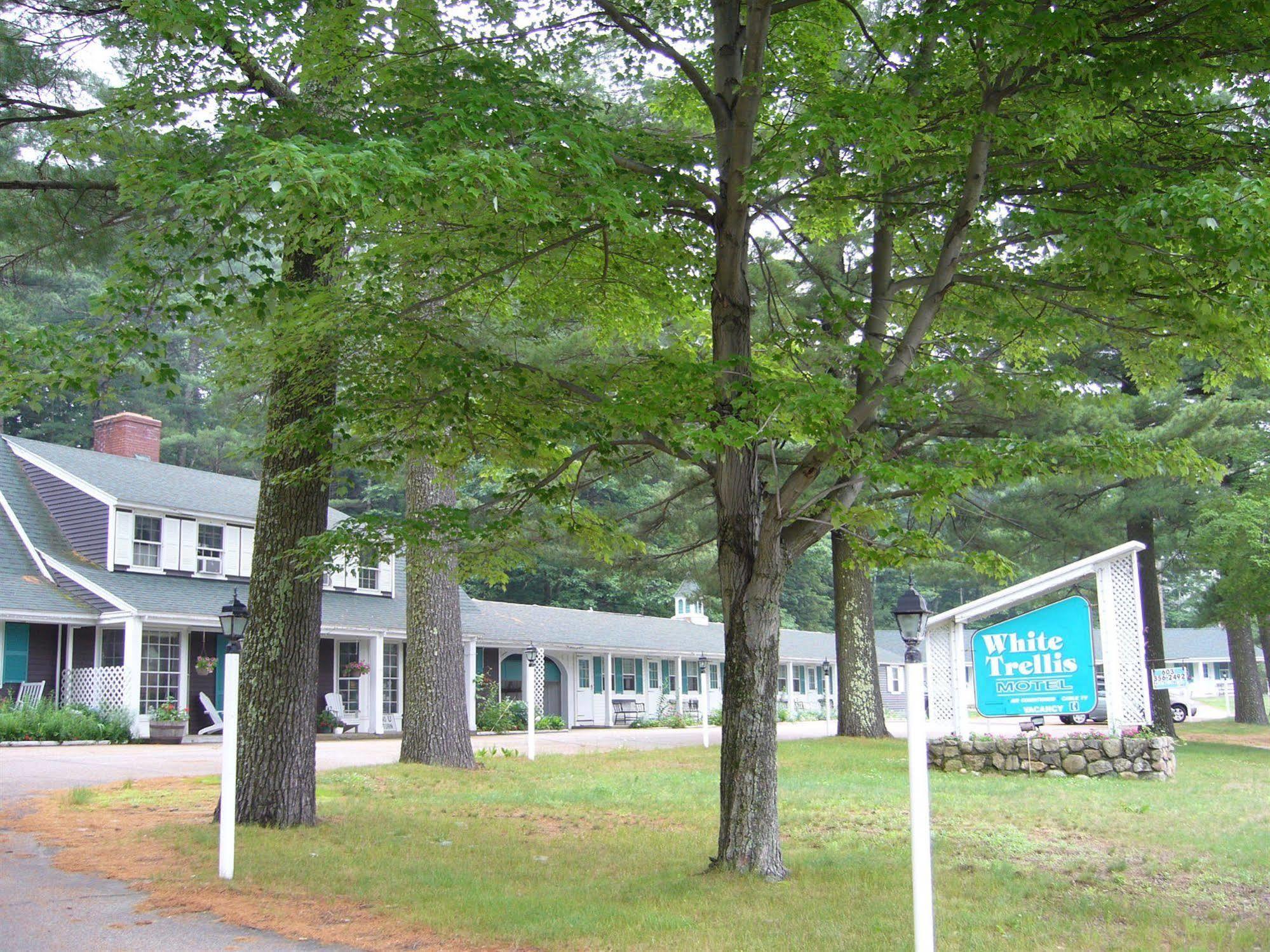 White Trellis Motel North Conway Eksteriør billede